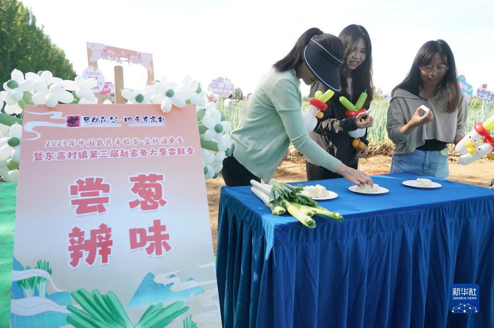 捕鱼游戏平台可下分